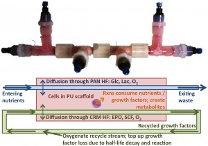 bioreactor_pictures