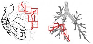 scout_examples